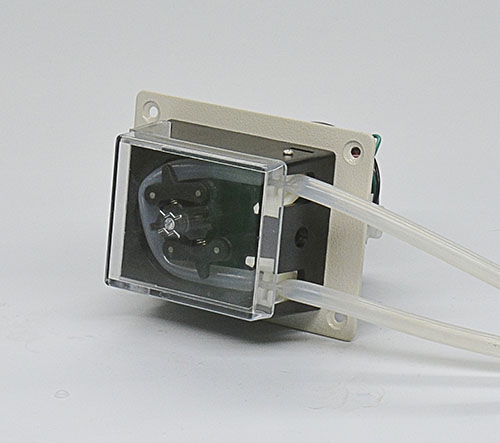 OEM-TH15彈簧草莓视频下载网站