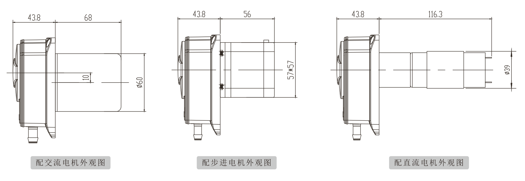 K25草莓视频下载网站